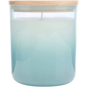 Wax Lyrical Home Scenter No.5 Hibiscus and Rosehip Candle 29.6oz (Up to 67 Hours Burn Time)