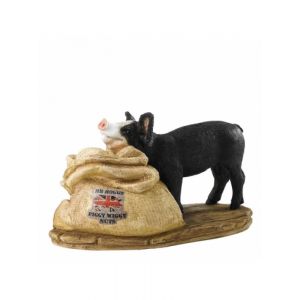 Kitchy & Co Mr Hogs Piggy Wiggy Nuts A28339