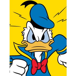 Donald Duck (Mad) Canvas Print 60 x 80 cm
